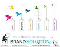 branding, graphics website