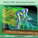 Program in ANSYS - FEA